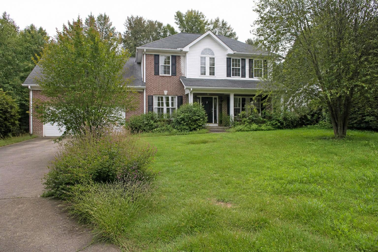 Overgrown front yard, before